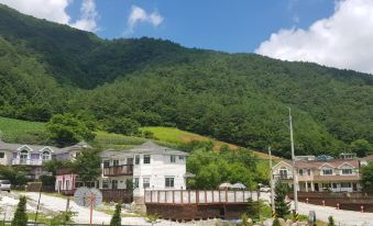 Jeongseon Supsogui Castle Pension