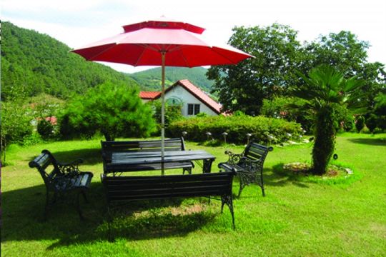 하이델베르크펜션