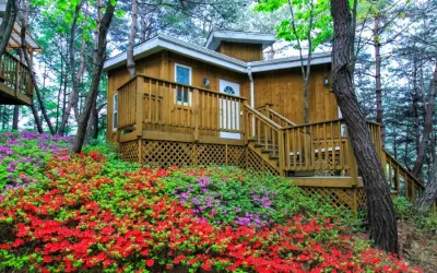 Couplestar in Forest Glamping Hotel di Hoengseong-gun