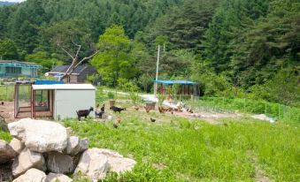 Wonju Sarichi Land in Forest Pension
