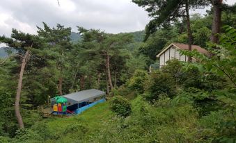 Wonju Sarichi Land in Forest Pension