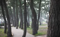 Geoje Island New Happy Pension (Mongdol Beach)