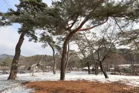 Wonju Chiak Mountain Club Pension