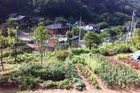 Gapyeong Zeny Pension Hotels near Gang-Wondo