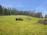 Karhunluola - Pet friendly