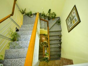 Quy Nhơn Homestay BnB