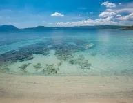 The Pelican Beach Resort & Spa - Adults Only - parking