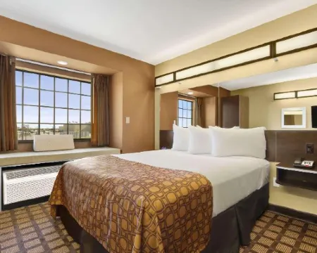 Microtel Inn & Suites by Wyndham Buda Austin South Hotels in Buda