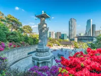 東横INN ハローエーピーエム周辺のホテル