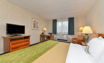 Comfort Inn Herndon-Reston