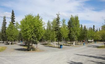 Tok RV Village and Cabins