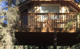 Cloudberry Cabin