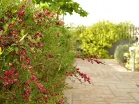 Ellopia Point Hotel Ξενοδοχεία στην πόλη Μπιζάνι