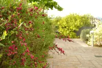 Ellopia Point Hotel Hotel a 