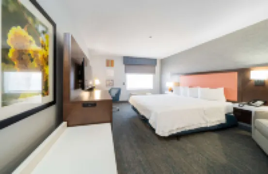 希爾頓歡朋套房飯店-莫德斯托薩利達