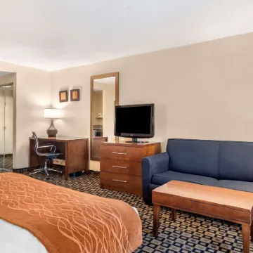 Comfort Inn & Suites Athens North Hotels near Athens Arena