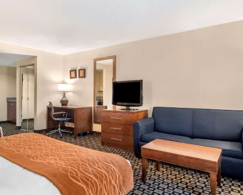 Comfort Inn & Suites Athens North Hotels in Athens