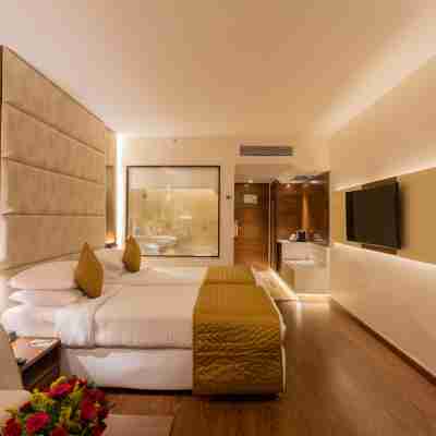 Sayaji Indore Rooms