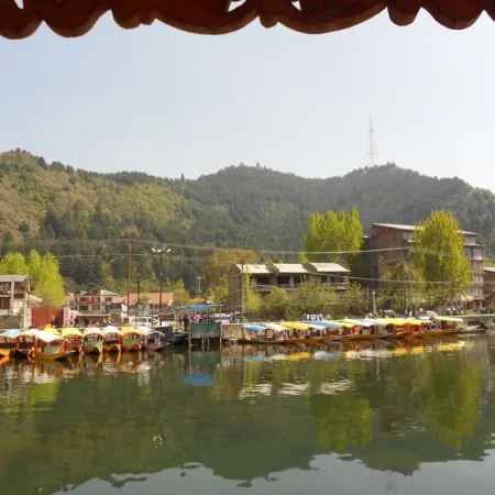 White House Group of Houseboats