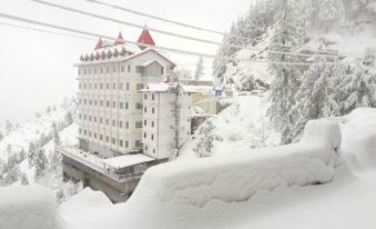 Hotel Shimla Hills International