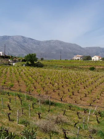 Inspired Villa Christina I with Private Pool and Garden. Отели в г. Gorgolaini