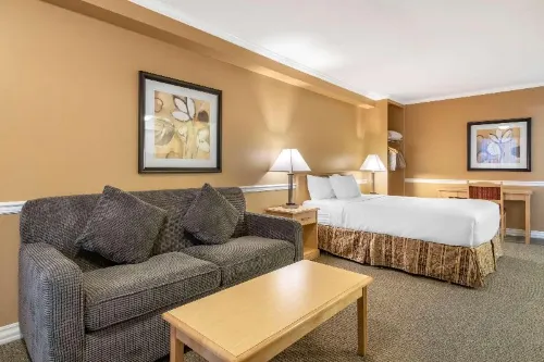 Econo Lodge Inn & Suites