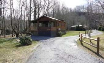 a wooden cabin with a porch and stairs leading to it , surrounded by trees and a gravel driveway at Linville River Log Cabins