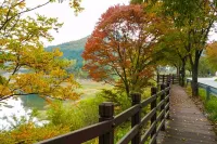 Yeongju Happy Pension - Homestays