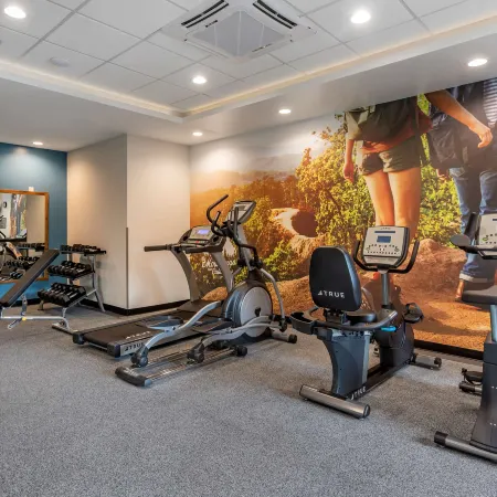 Best Western Plus Mountain Melodies Inn  Suites