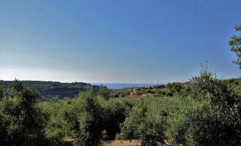 Amazing Villas in Crete Villa Myrrini - Classy Villa with Panoramic Views