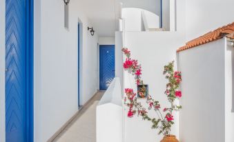Venti Seaside Adult Hotel