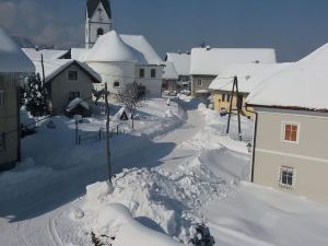 Apartmaji Koželj