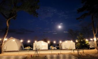 Shinan Cheonsa Island Camping & Glamping