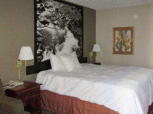 Econo Lodge Inn & Suites