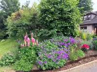 Deveron Lodge B B Guest House - Завтрак