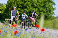 Hotel Arcus Hotels in Bad Liebenwerda