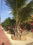 Casa Opal - Villas
