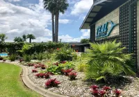 Teal Motor Lodge Hotels in Gisborne
