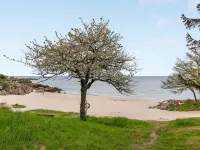"Hermann" - 100m from the Sea