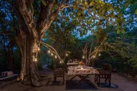 Pugdundee Safaris- Tree House Hideaway Hotels in Tala