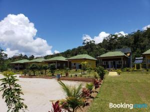 Andasibe Lemurs Lodge