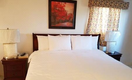 Golden Palm B & B - Housity