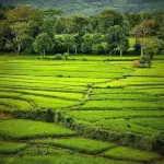 Sinharaja Park Hotel Các khách sạn ở Deniyaya
