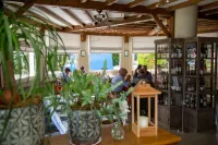 Logis - Hôtel Restaurant du Canard - Kæledyr tilladt