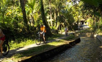 Desa Hay Canggu