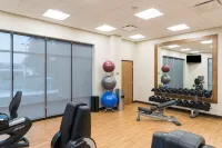 Hyatt Place Ann Arbor - Træningscentre