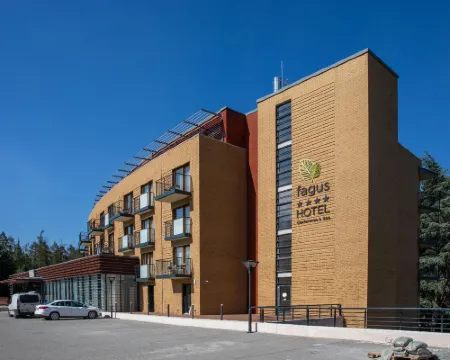 Fagus Hotel Conference & Spa Superior Hotels in Sopron