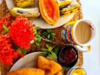 The Ideal Bed & Breakfast Hotels in Nadi