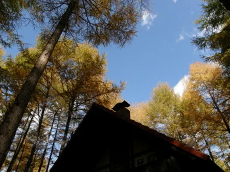 Ezorisukun No Yado Canterbury Отели в г. уезд Касай