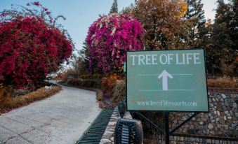 Tree of Life Resort Dehradun Foothills